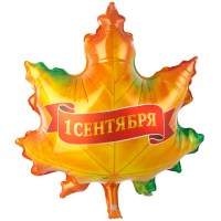 1207-6845